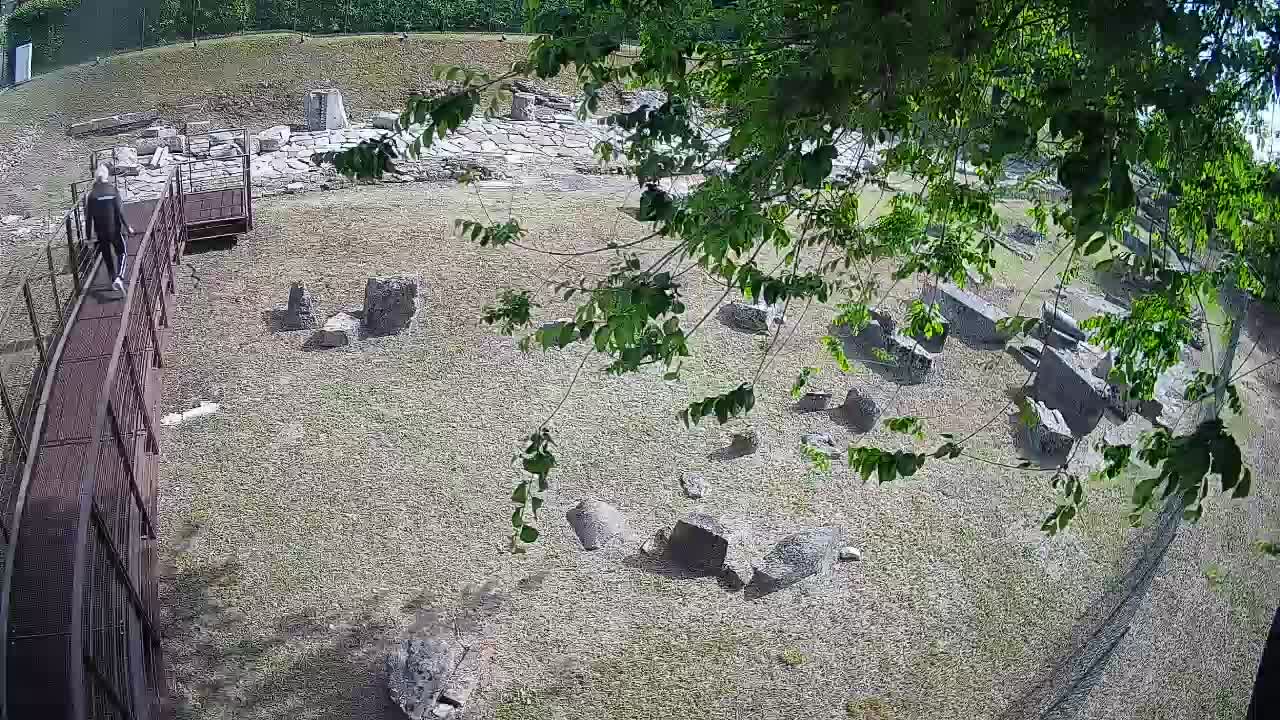 Aquileia – Decumano di Aratria Galla