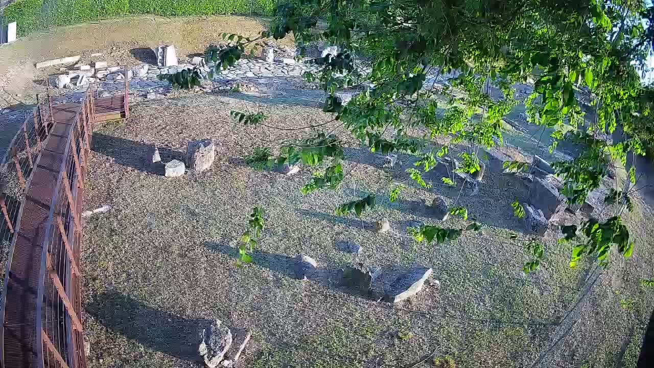 Akvileja – Decumano di Aratria Galla