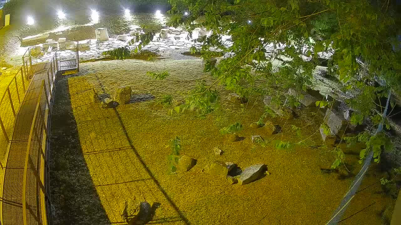 Aquileia – Decumano di Aratria Galla