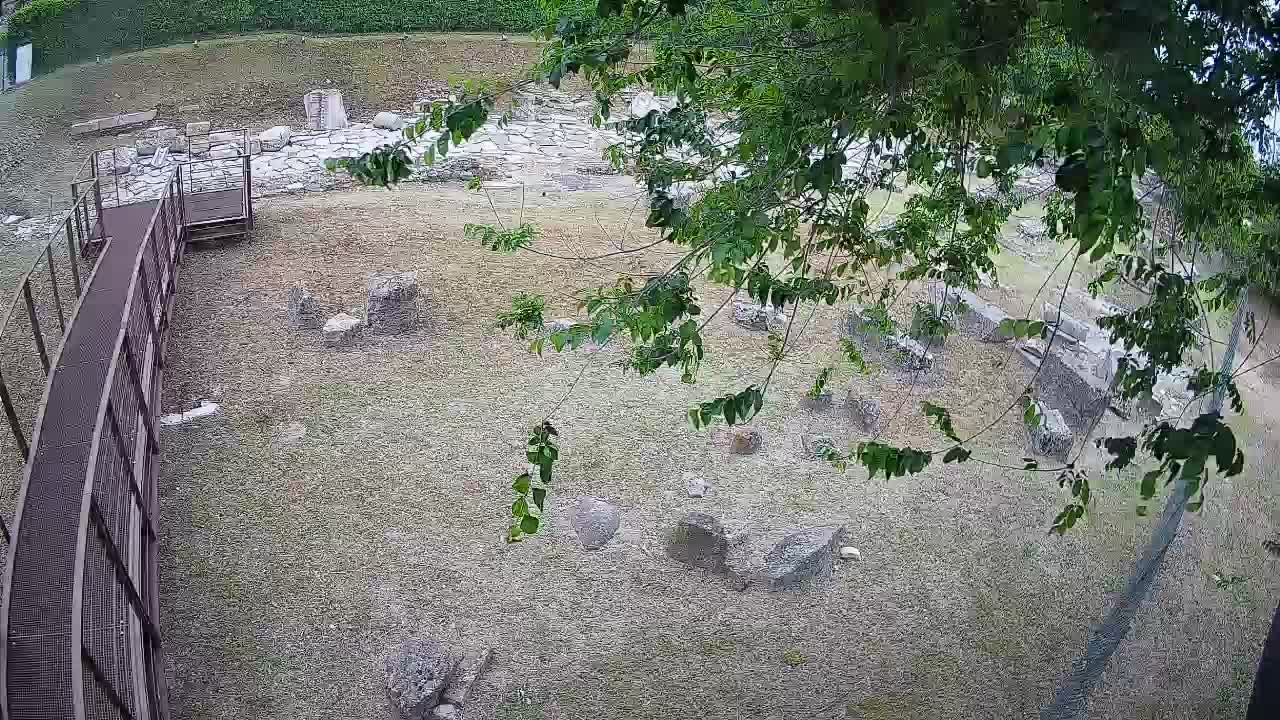 Aquileia – Decumano di Aratria Galla