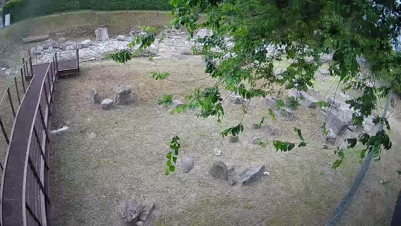 Akvileja – Decumano di Aratria Galla