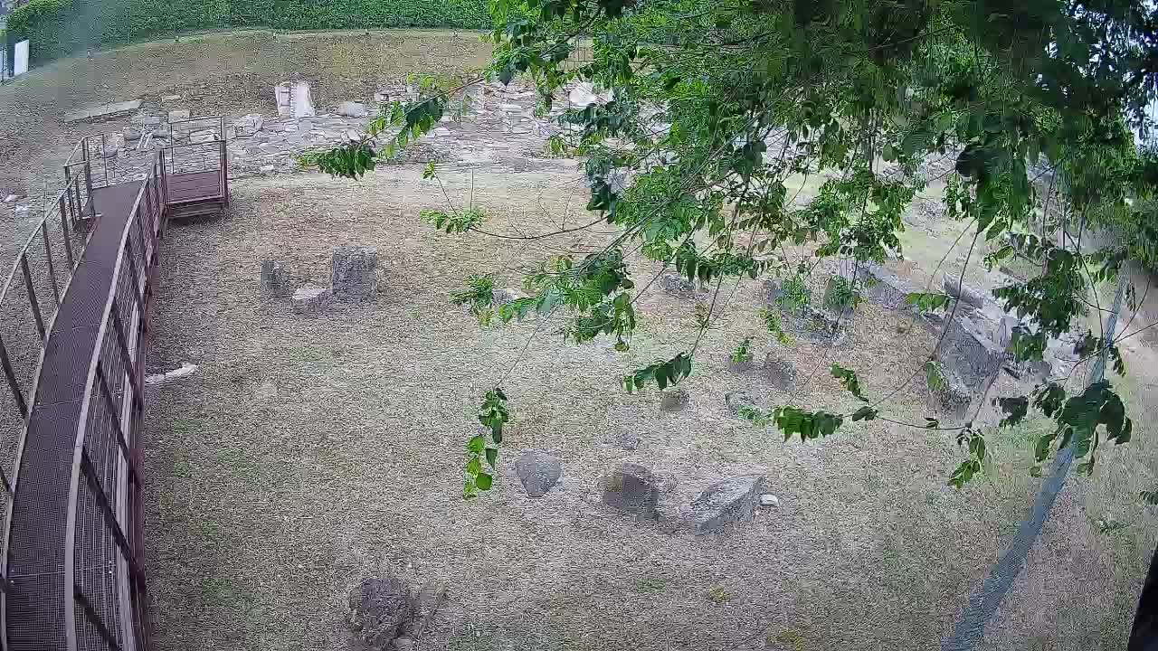 Aquileia – Decumano di Aratria Galla