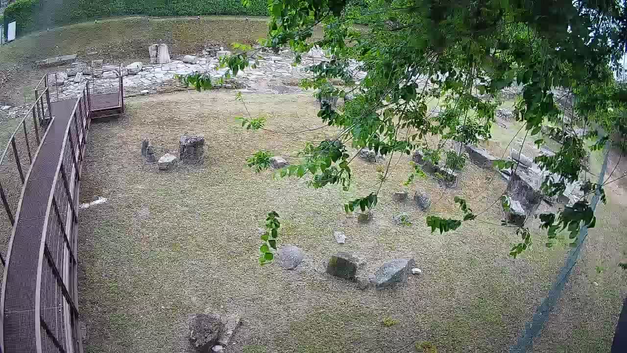 Aquileia – Decumano di Aratria Galla