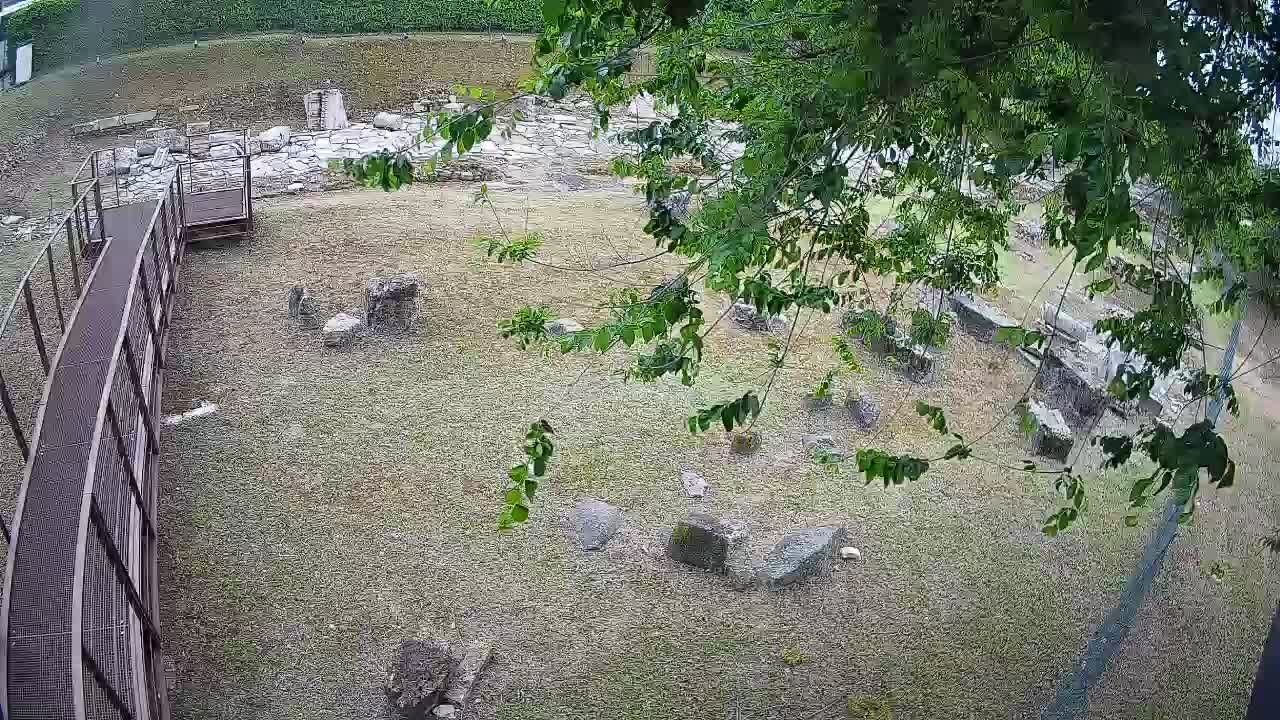 Aquileia – Decumano di Aratria Galla