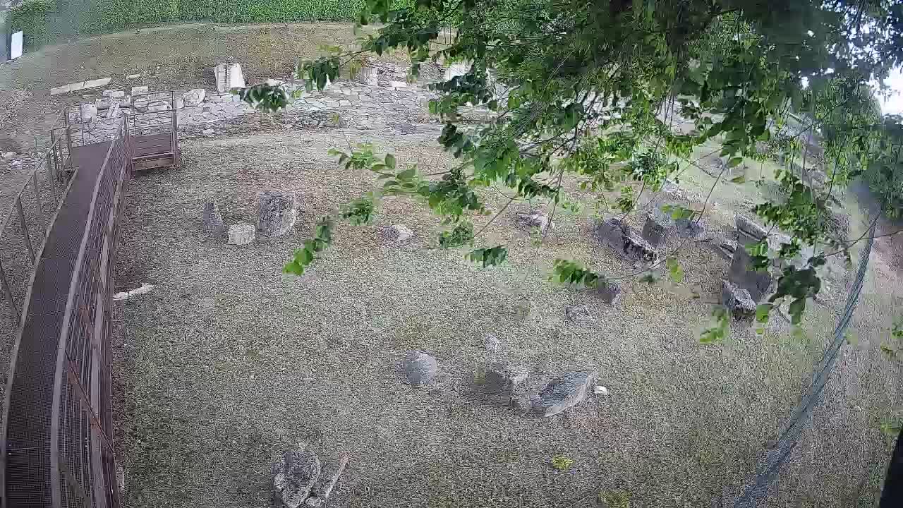 Aquileia – Decumano di Aratria Galla