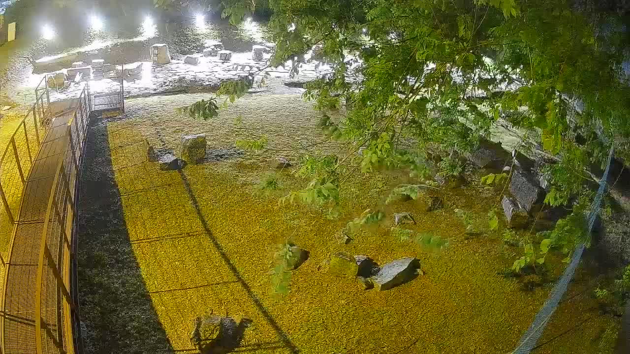 Aquileia – Decumano di Aratria Galla
