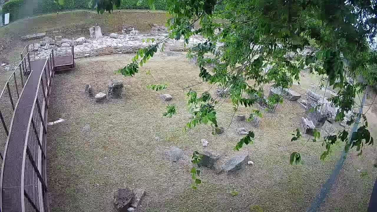 Aquileia – Decumano di Aratria Galla