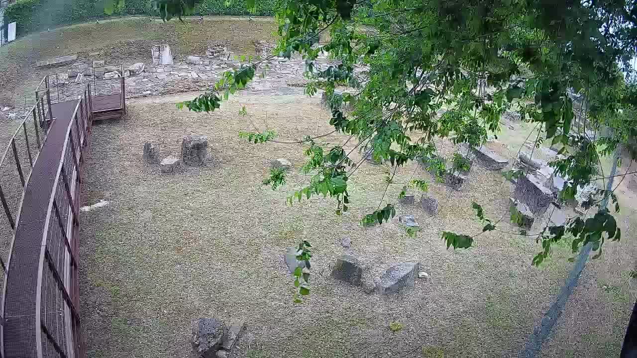 Aquileia – Decumano di Aratria Galla