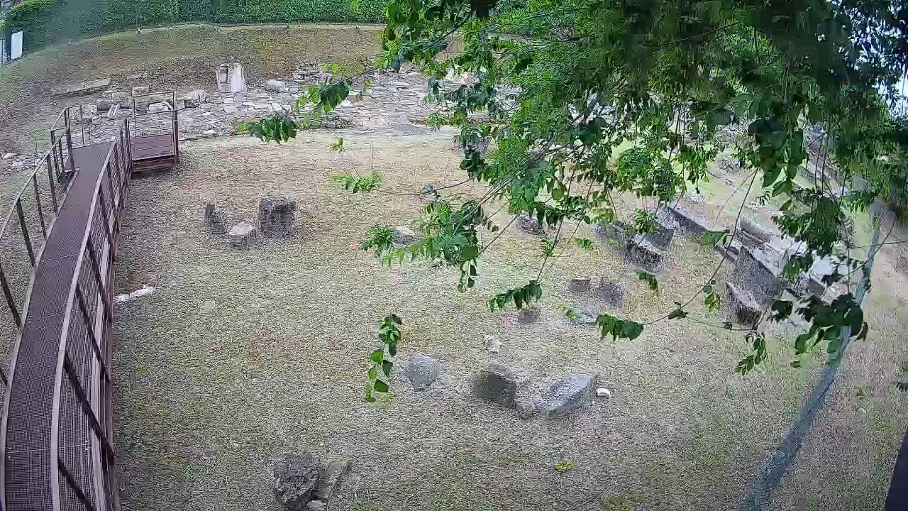 Aquileia – Decumano di Aratria Galla