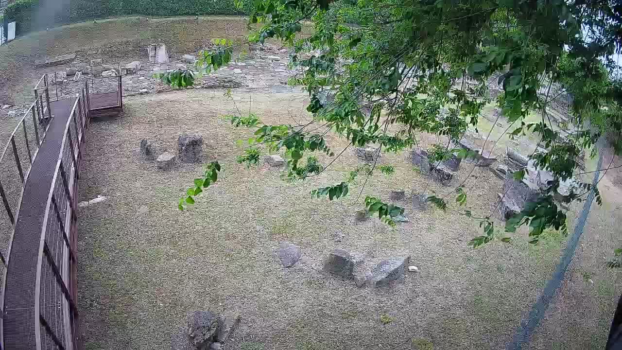 Aquileia – Decumano di Aratria Galla
