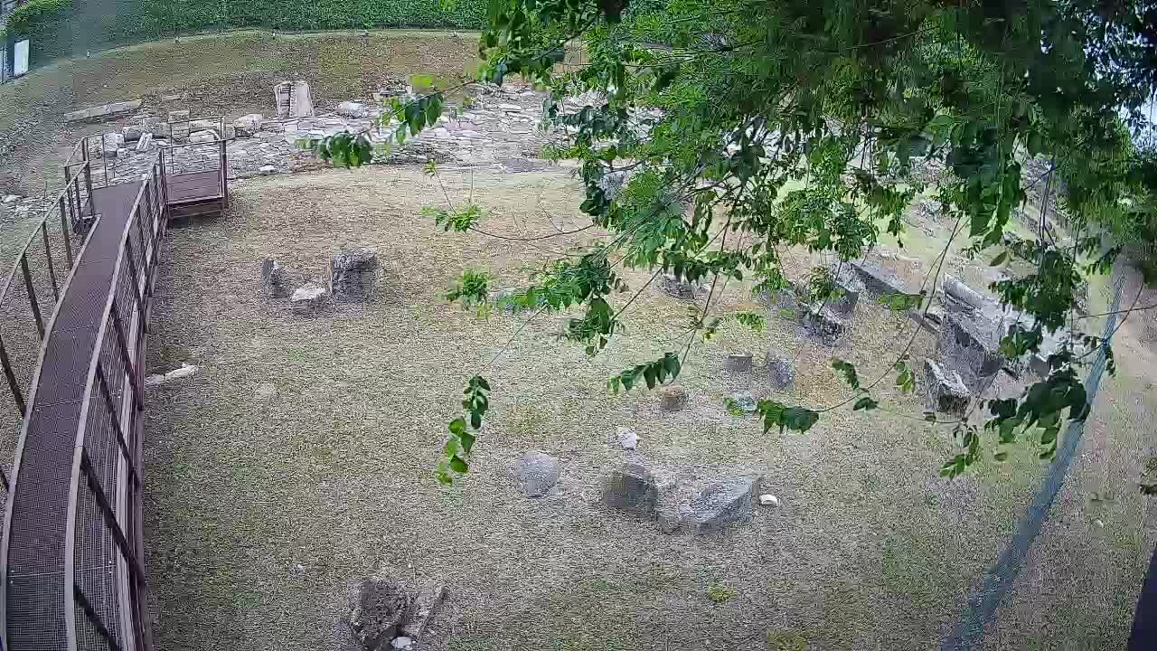 Aquileia – Decumano di Aratria Galla