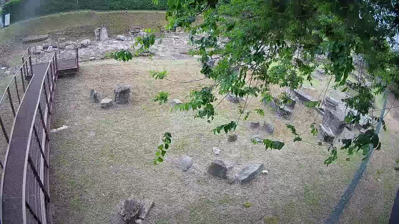 Aquileia – Decumano di Aratria Galla