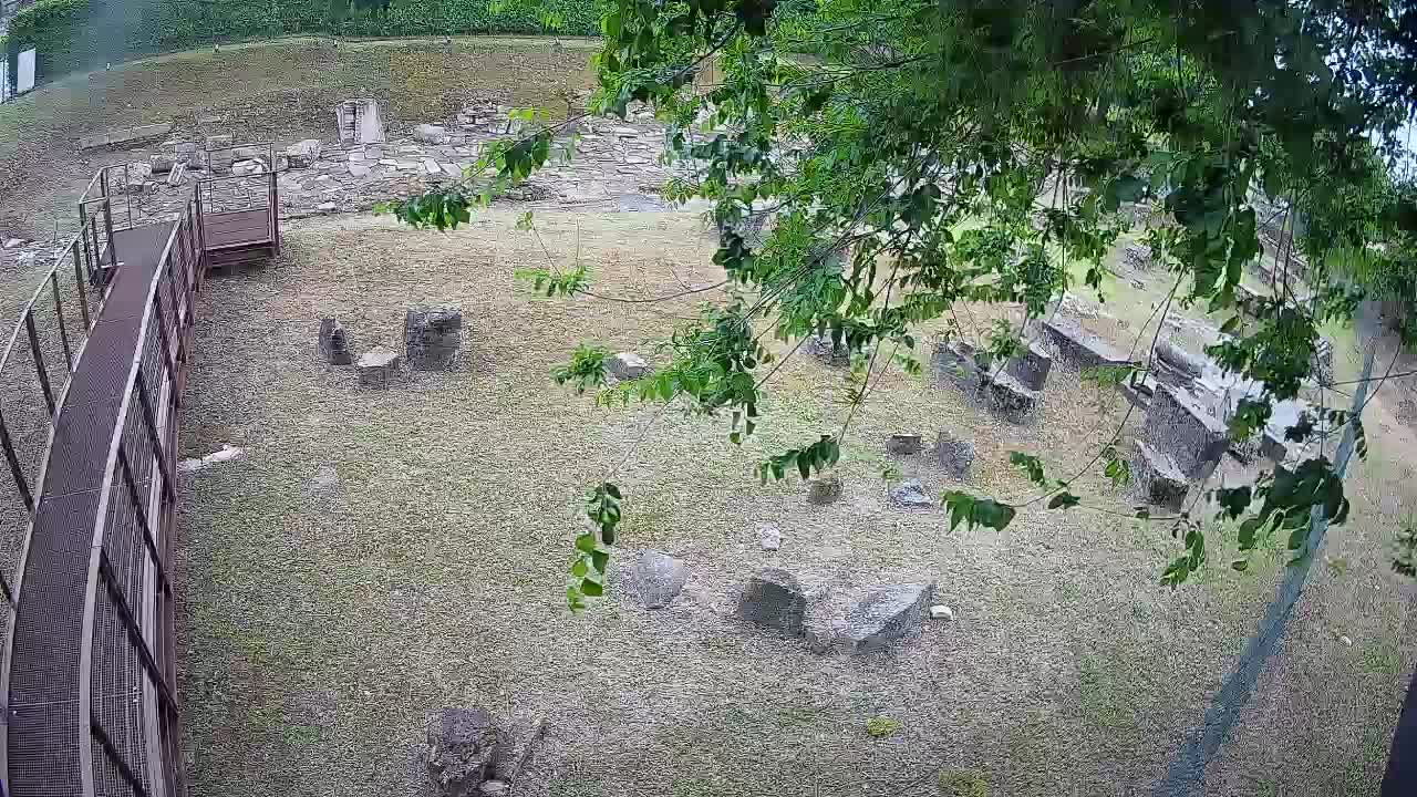 Akvileja – Decumano di Aratria Galla