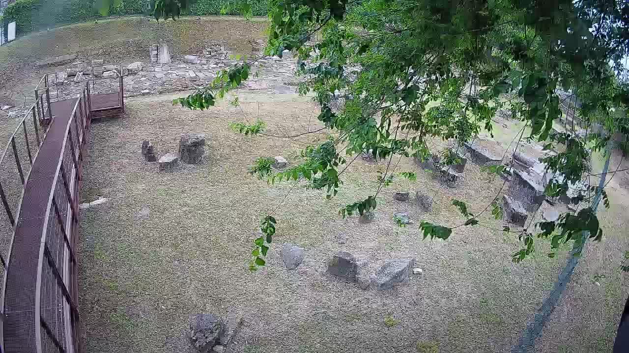Aquileia – Decumano di Aratria Galla