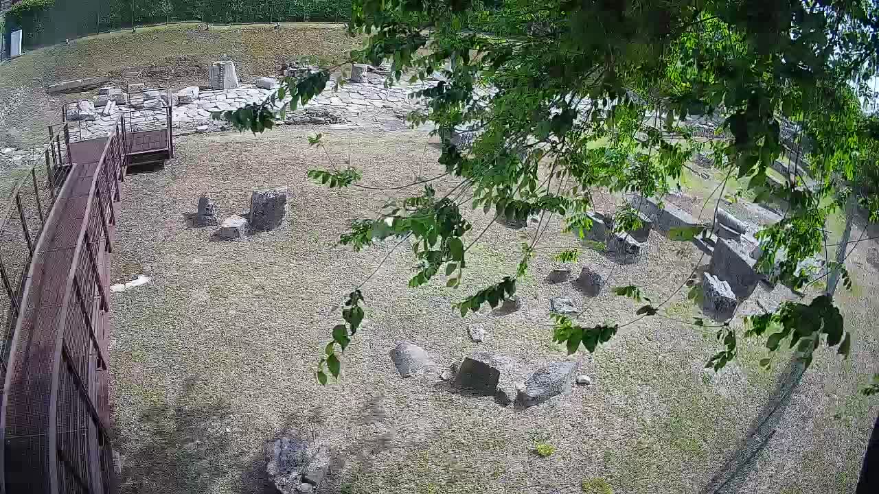 Aquileia – Decumano di Aratria Galla