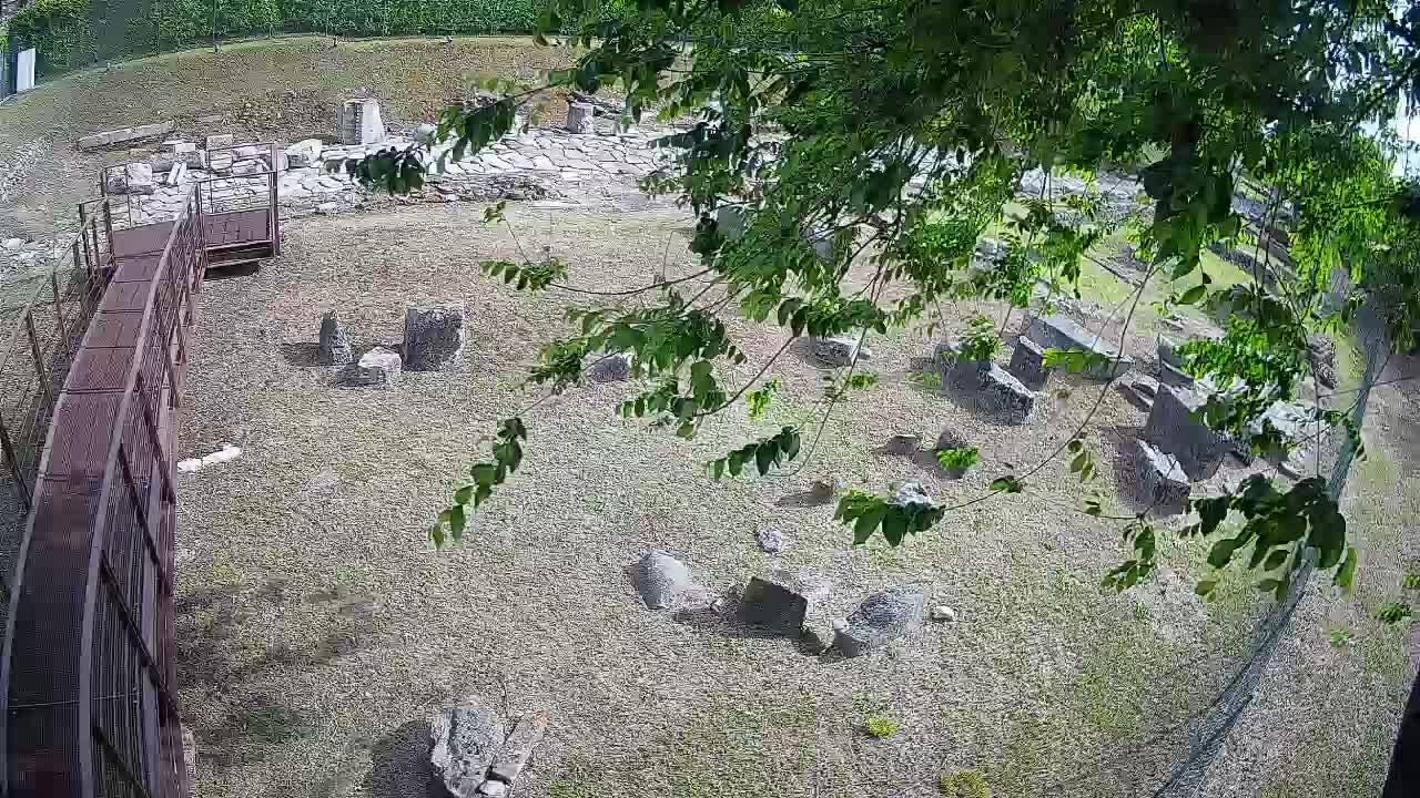 Aquileia – Decumano di Aratria Galla