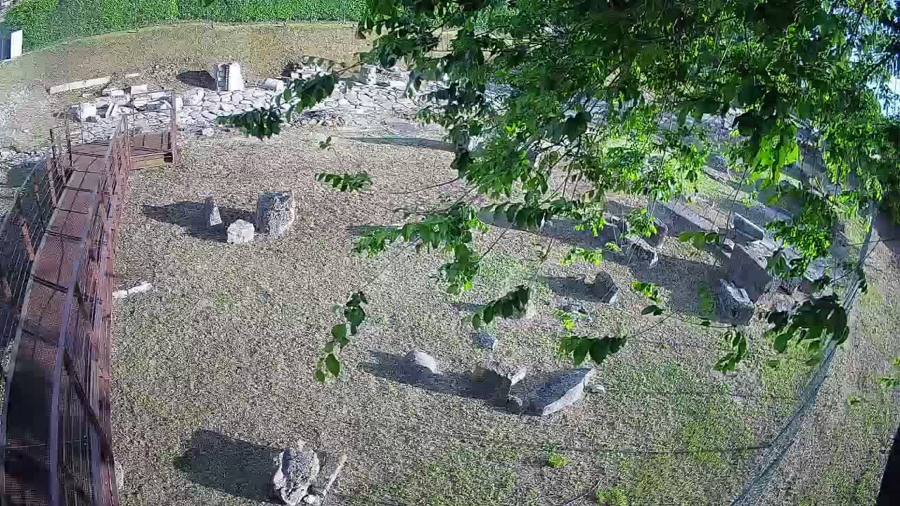 Aquileia – Decumano di Aratria Galla