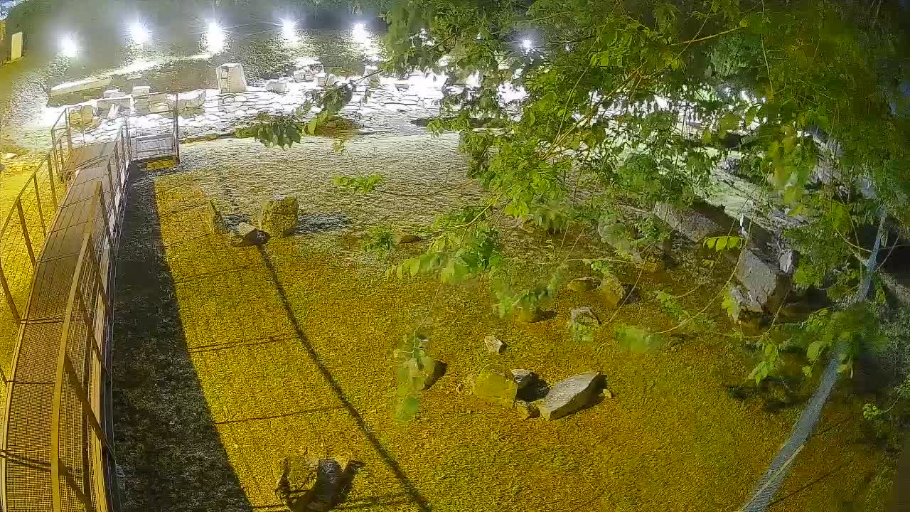Aquileia – Decumano di Aratria Galla