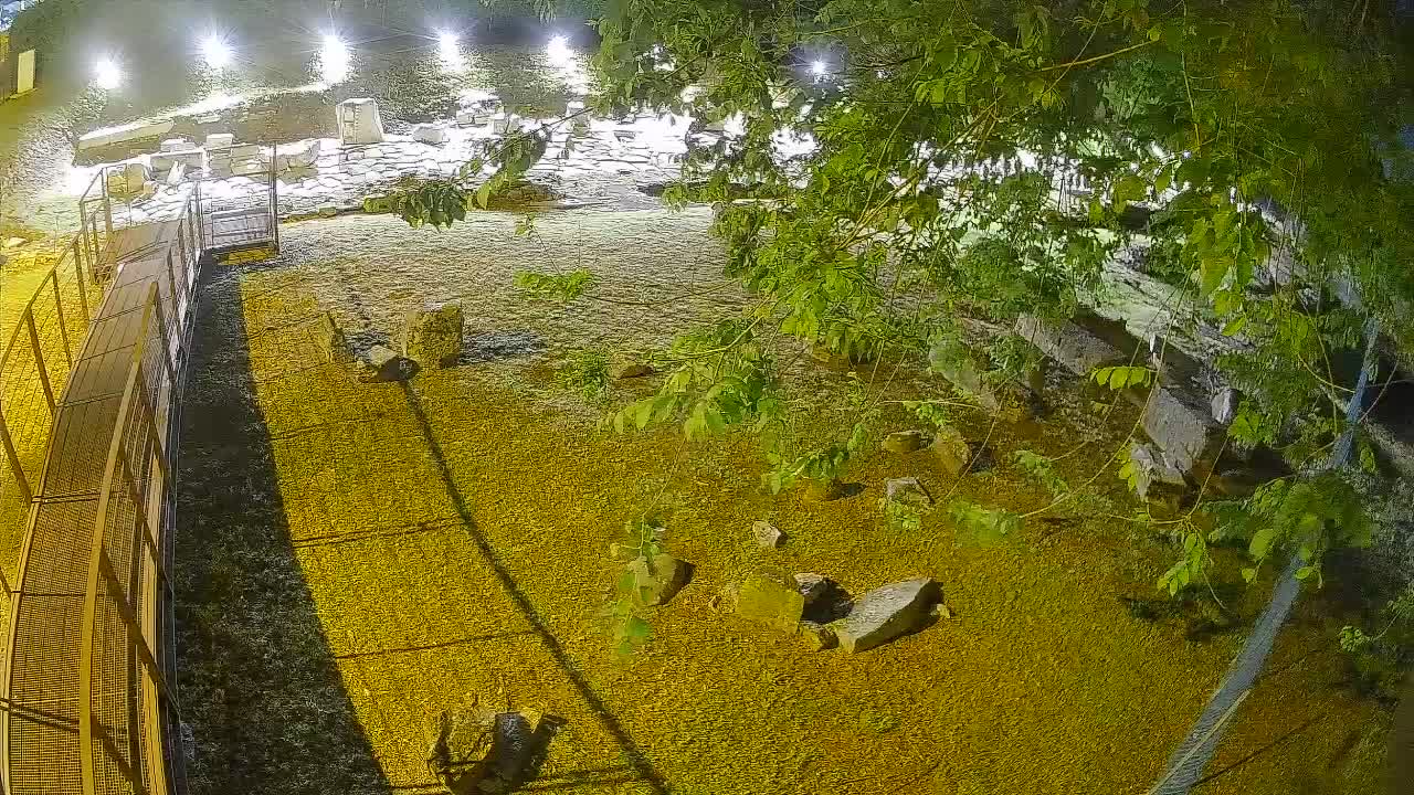 Aquileia – Decumano di Aratria Galla