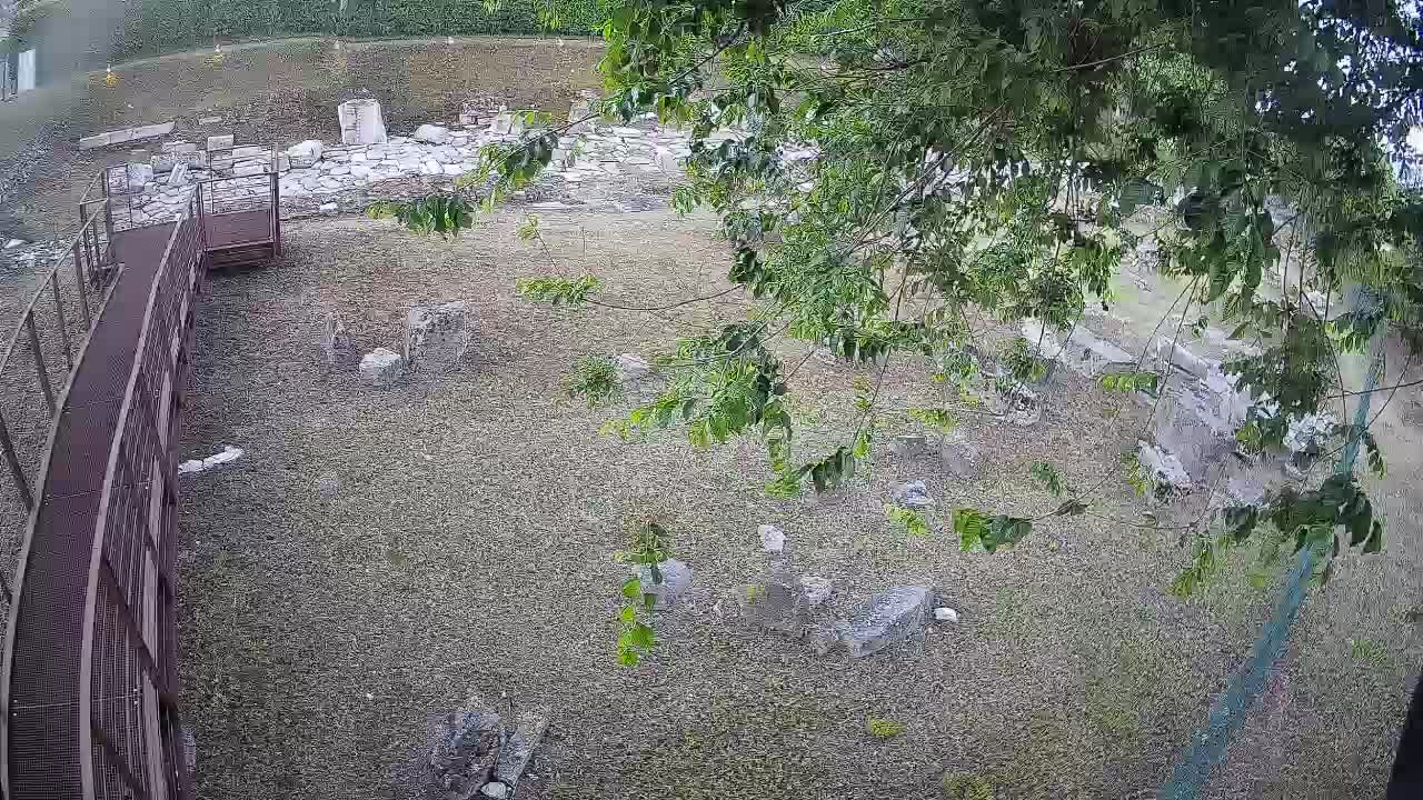 Aquileia – Decumano di Aratria Galla