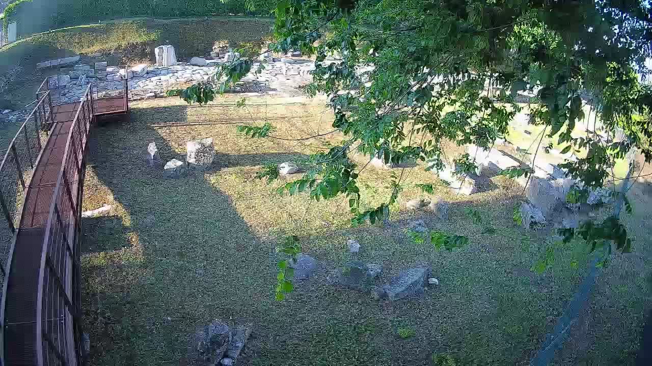 Oglej – Decumano Aratria Galla