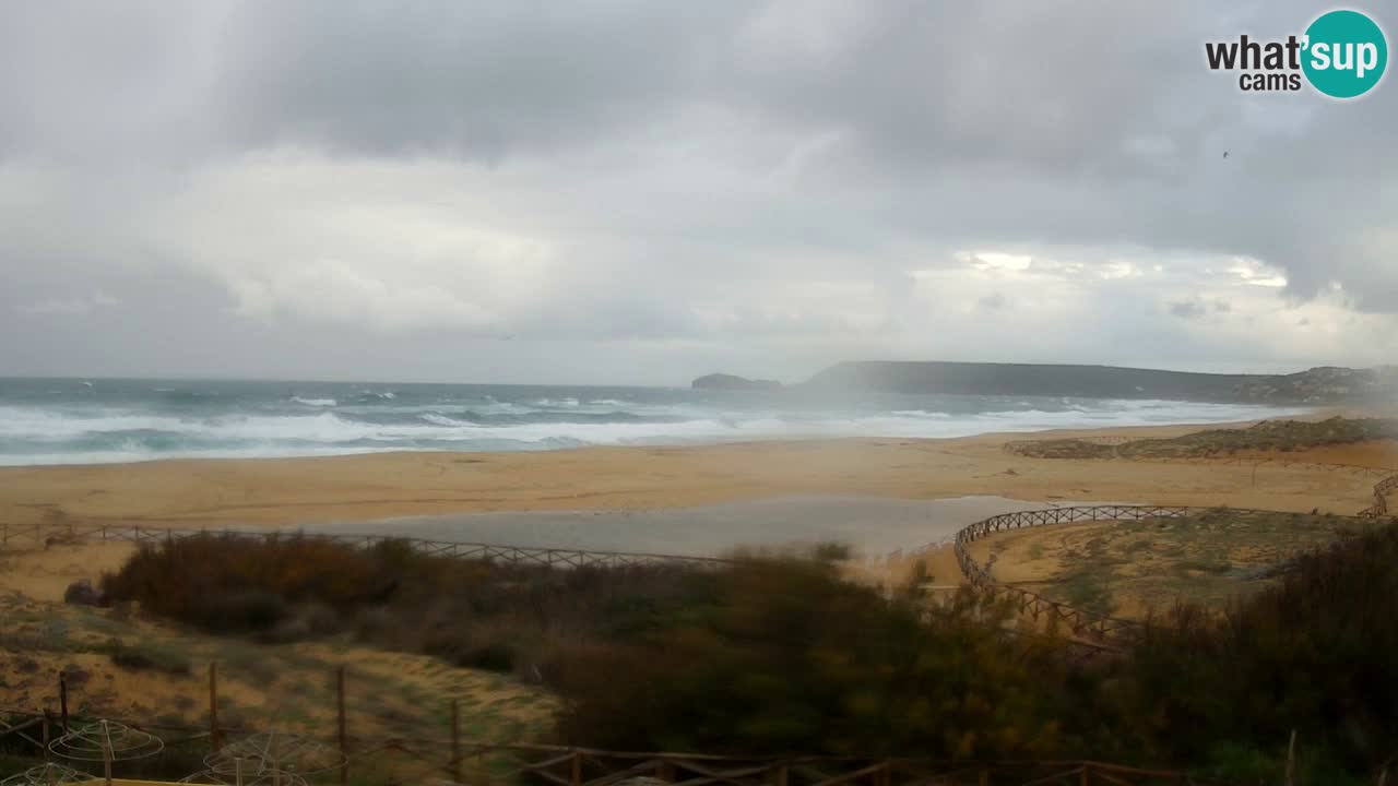 Webcam Torre dei Corsari – Live Beach View from Punta Usai