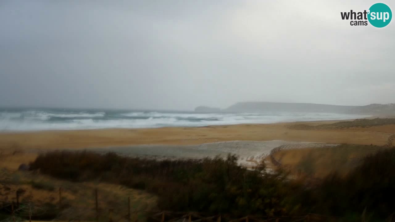 Webcam Torre dei Corsari – Live Beach View from Punta Usai