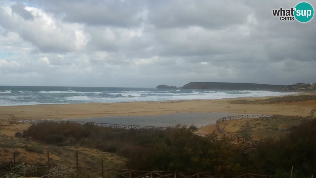 Webcam Torre dei Corsari – Live Beach View from Punta Usai