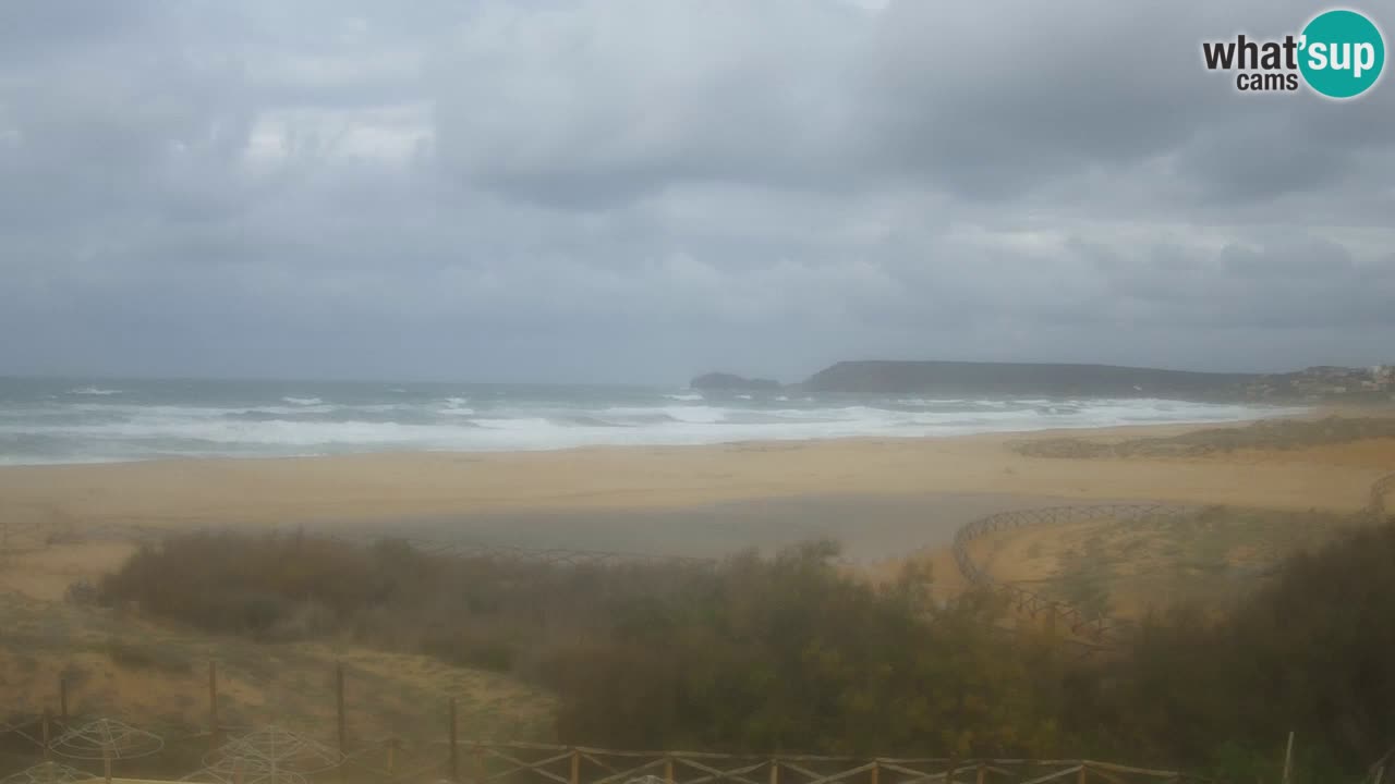 Webcam Torre dei Corsari – Live Beach View from Punta Usai