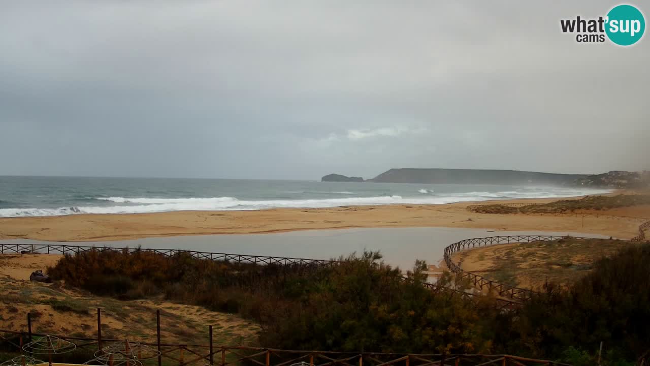 Webcam Torre dei Corsari – Live Beach View from Punta Usai