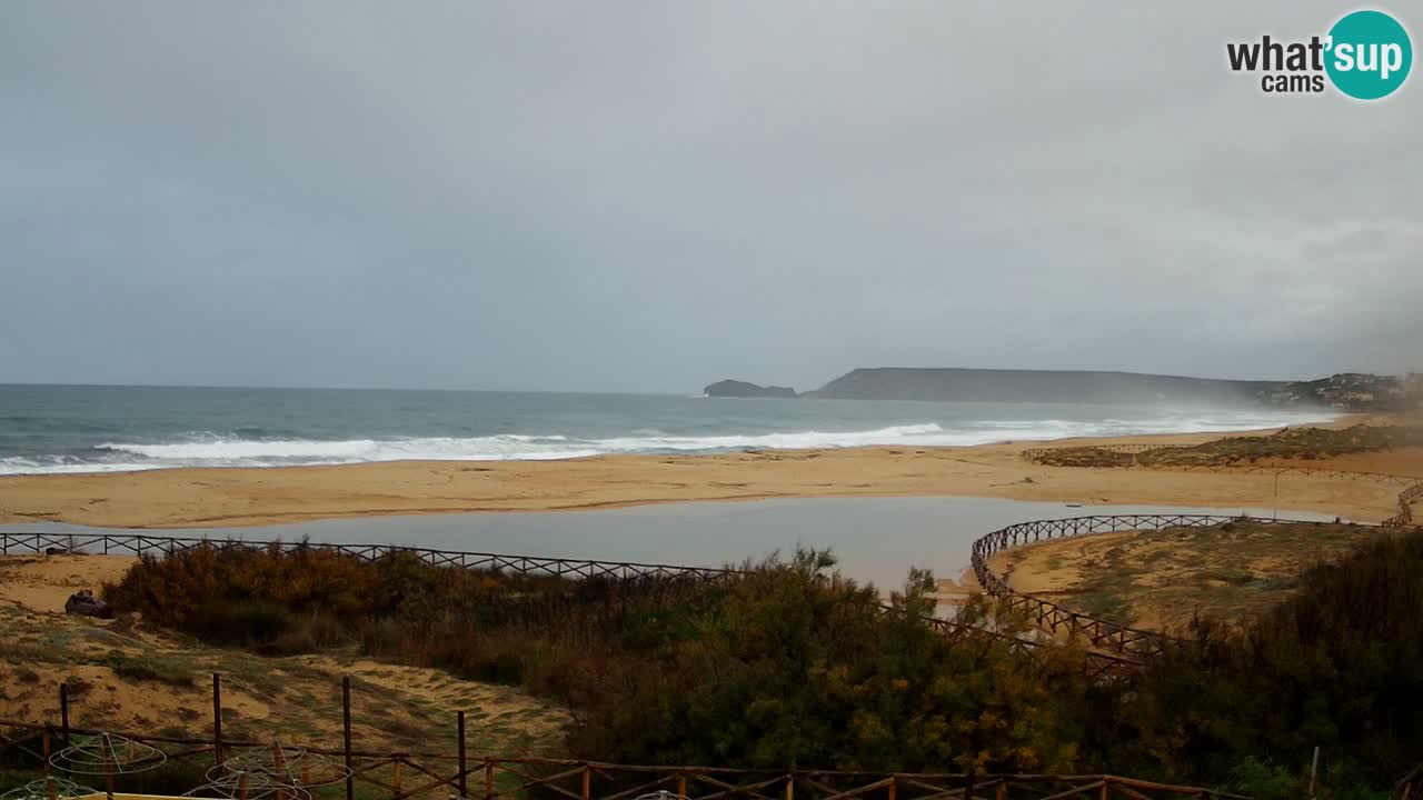 Webcam Torre dei Corsari – Live Beach View from Punta Usai
