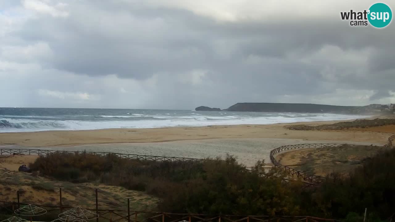 Webcam Torre dei Corsari – Live Beach View from Punta Usai