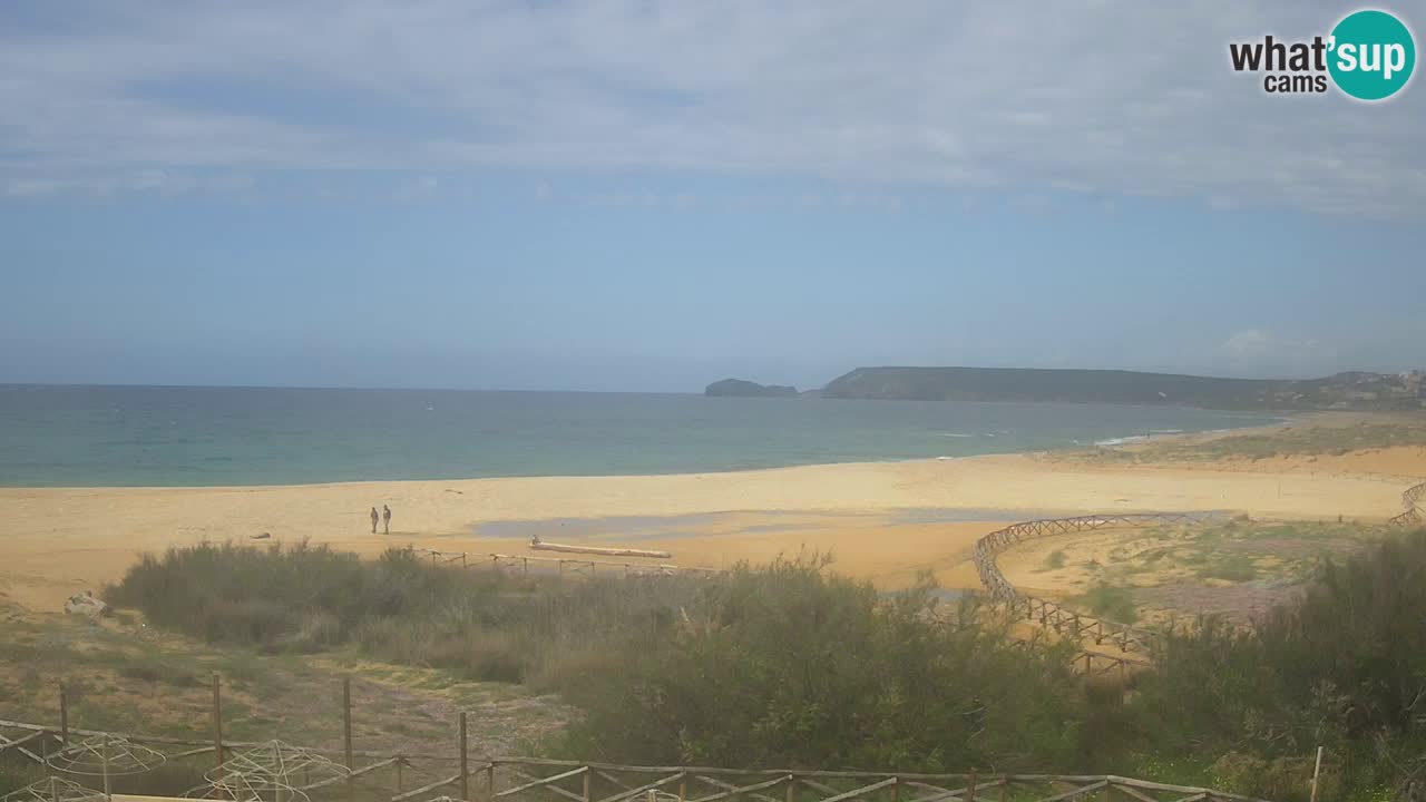 Webcam Torre dei Corsari – Live Beach View from Punta Usai