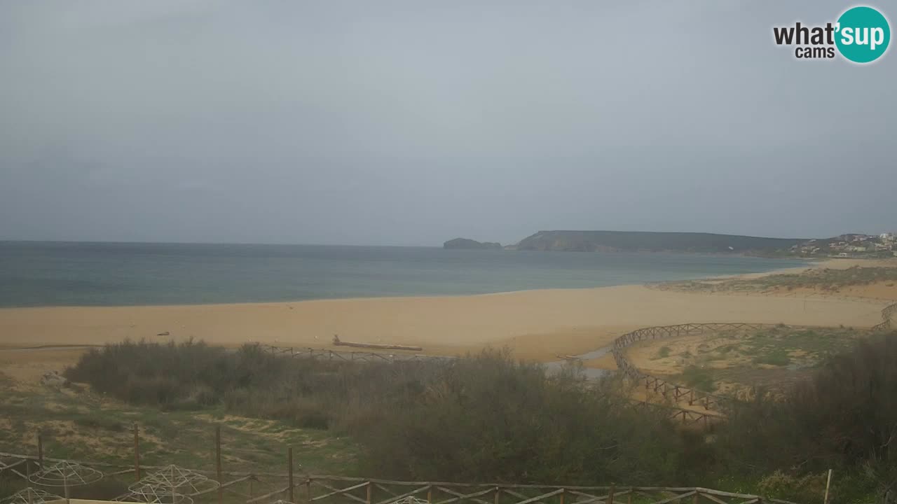 Webcam Torre dei Corsari – Live Beach View from Punta Usai