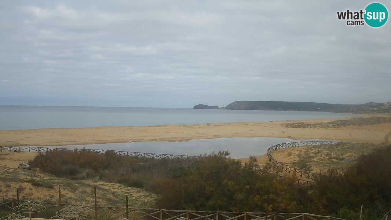 Webcam Torre dei Corsari – Live Beach View from Punta Usai