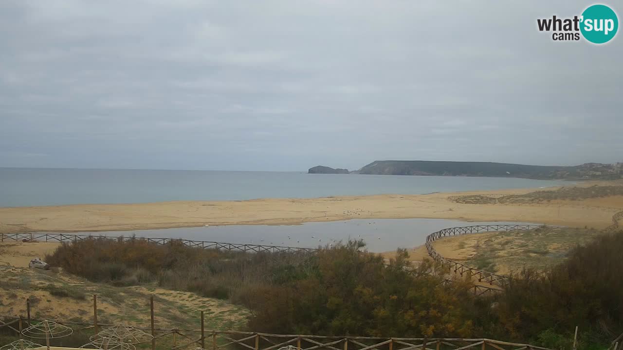 Web kamera Torre dei Corsari – Pogled uživo na plažu s Punta Usai
