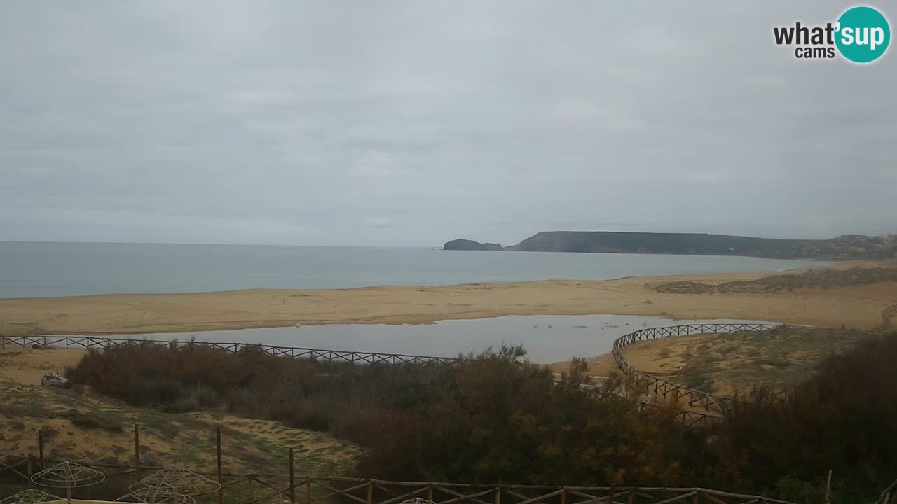 Webcam Torre dei Corsari – Live Beach View from Punta Usai