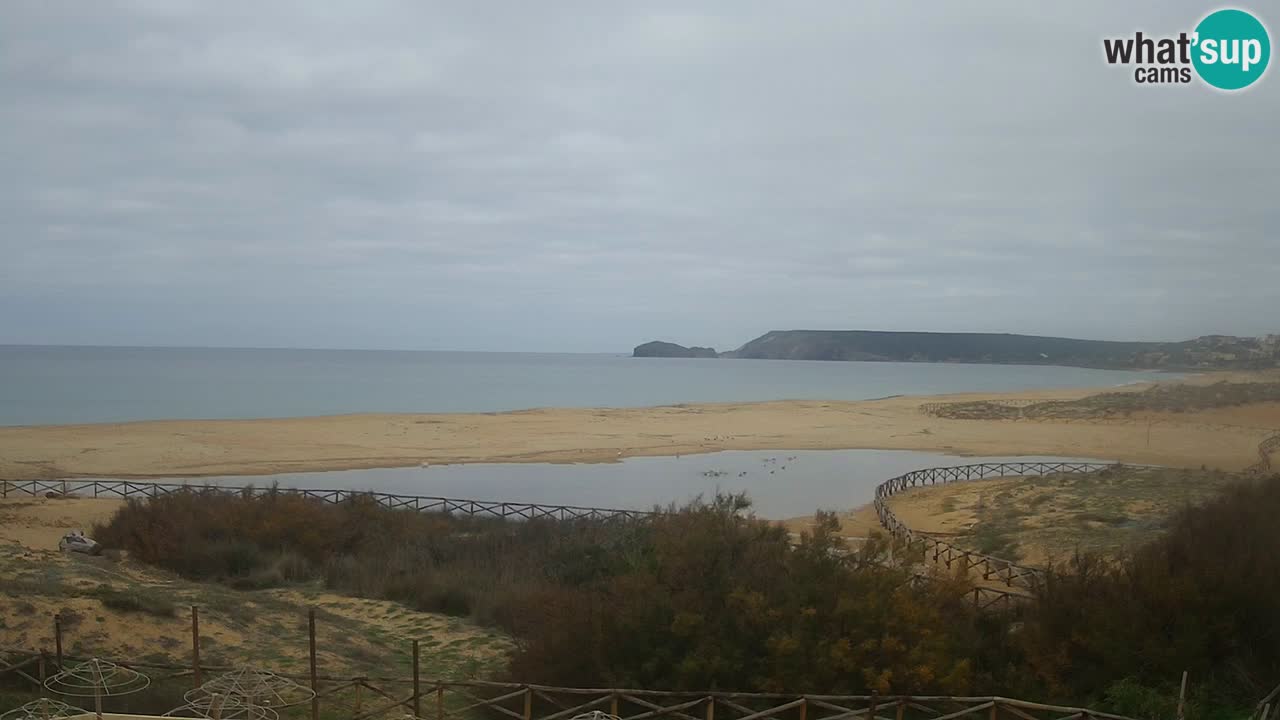 Webcam Torre dei Corsari – Live Beach View from Punta Usai