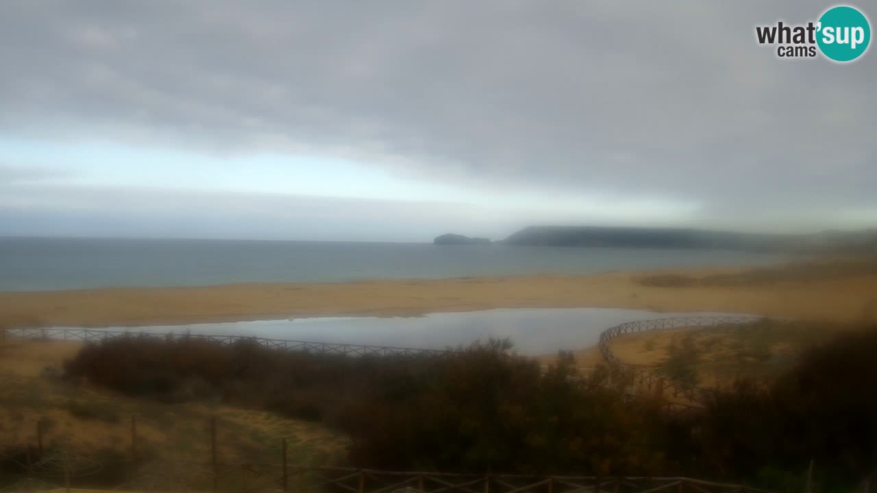 Webcam Torre dei Corsari – Live Beach View from Punta Usai