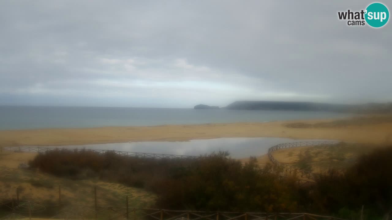 Webcam Torre dei Corsari – Liveblick auf den Strand von Punta Usai