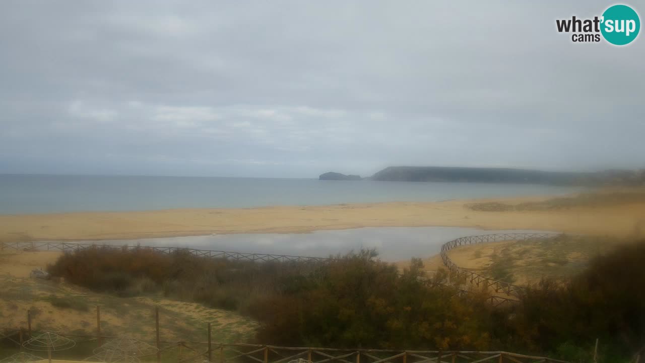 Webcam Torre dei Corsari – Live Beach View from Punta Usai
