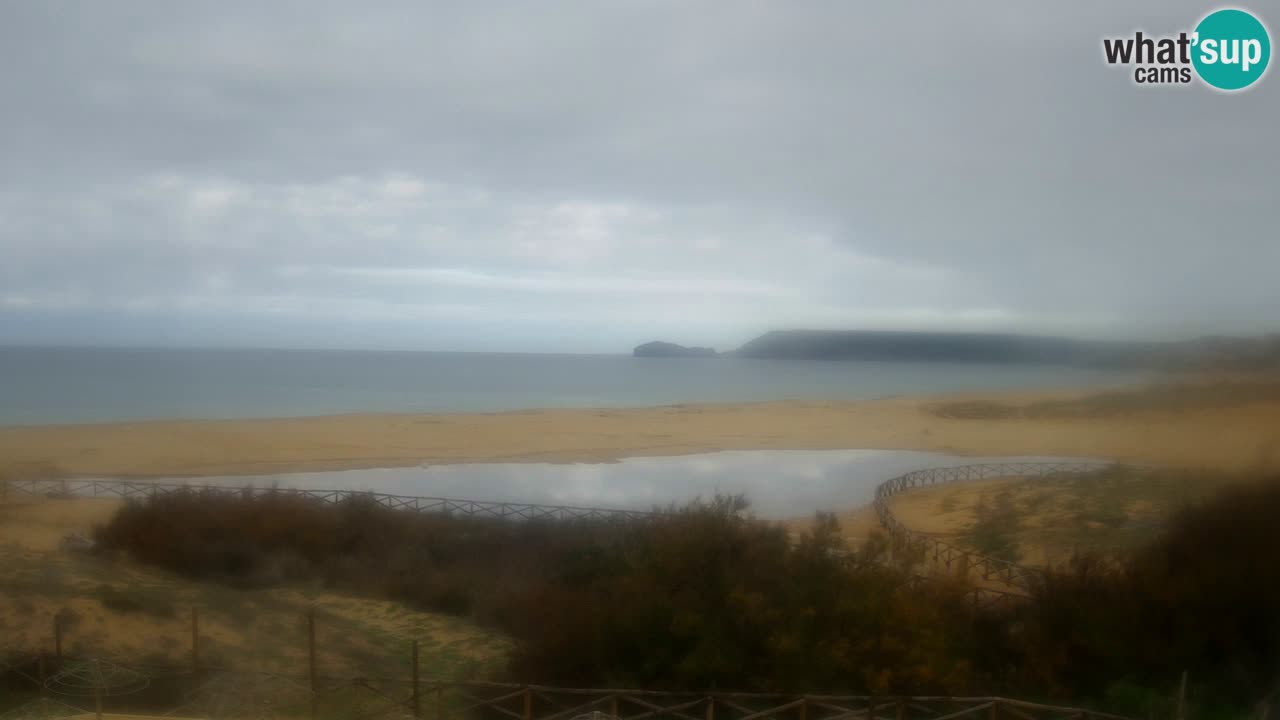 Webcam Torre dei Corsari – Live Beach View from Punta Usai