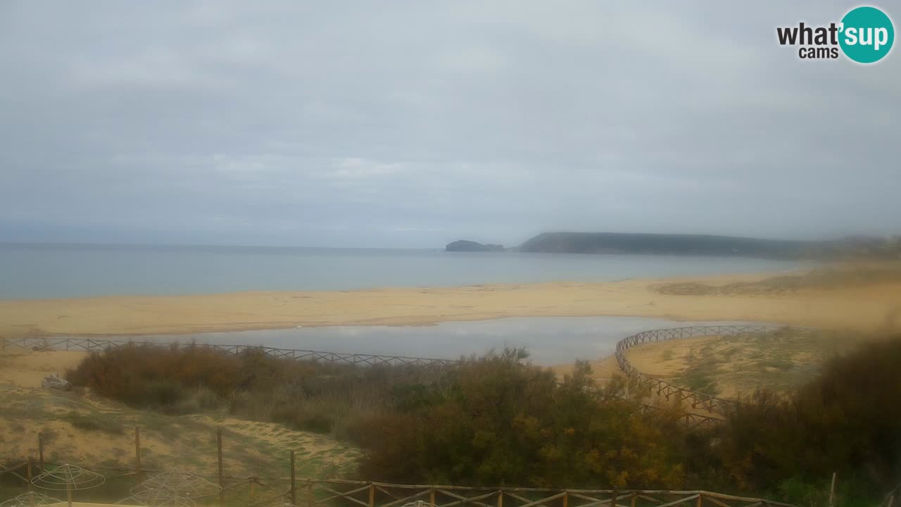 Webcam Torre dei Corsari – Live Beach View from Punta Usai