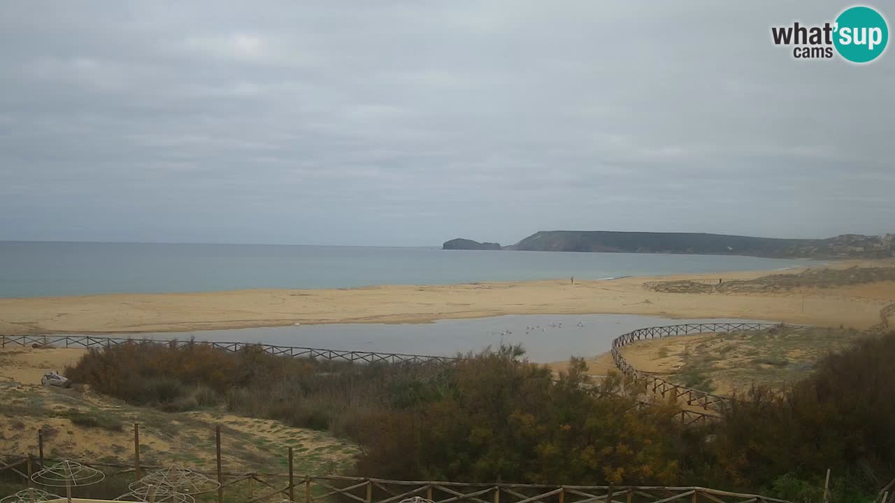 Webcam Torre dei Corsari – Live Beach View from Punta Usai