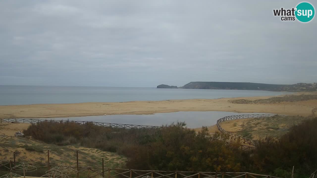 Webcam Torre dei Corsari – Live Beach View from Punta Usai
