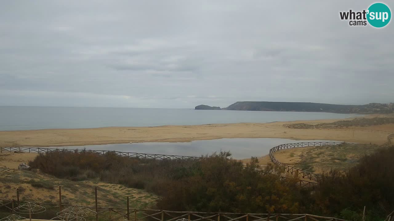 Webcam Torre dei Corsari – Vue en direct sur la plage depuis Punta Usai