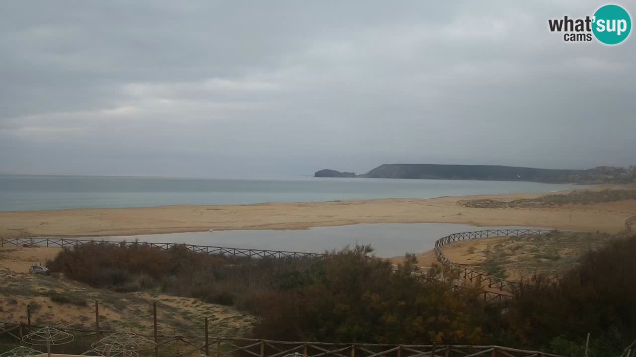 Web kamera Torre dei Corsari – Pogled uživo na plažu s Punta Usai
