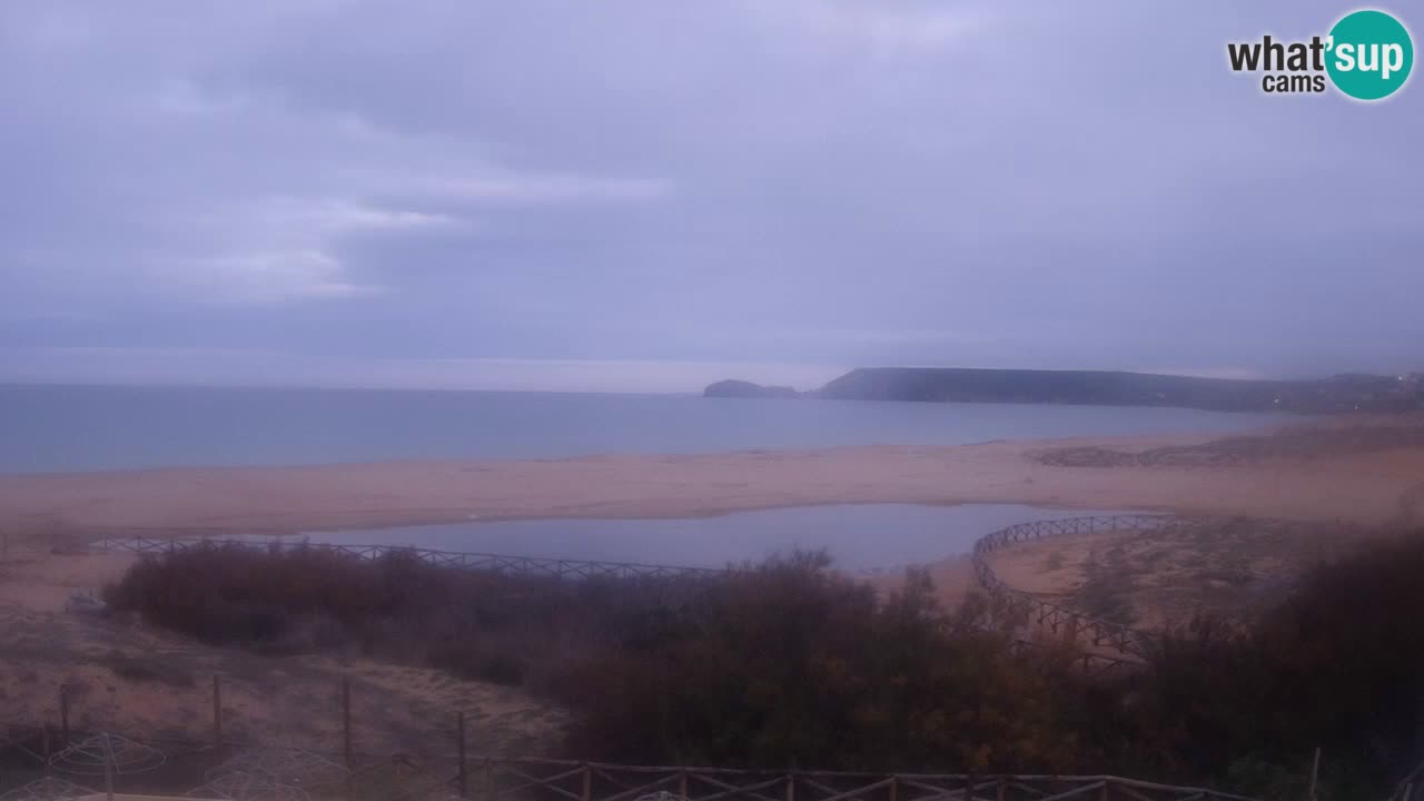 Webcam Torre dei Corsari – Live Beach View from Punta Usai