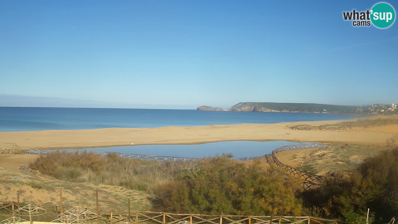 Webcam Torre dei Corsari – Live Beach View from Punta Usai