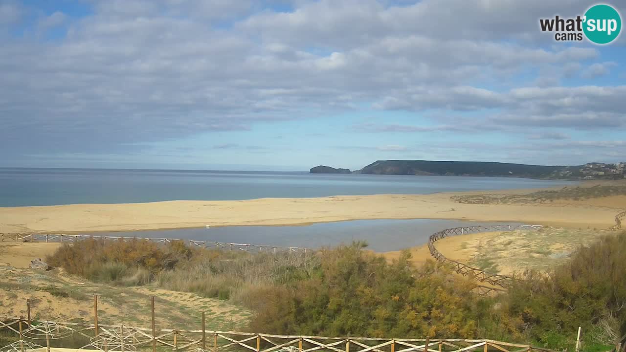 Webcam Torre dei Corsari – Live Beach View from Punta Usai